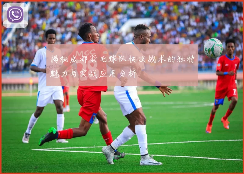 揭秘成都羽毛球队快攻战术的独特魅力与实战应用分析